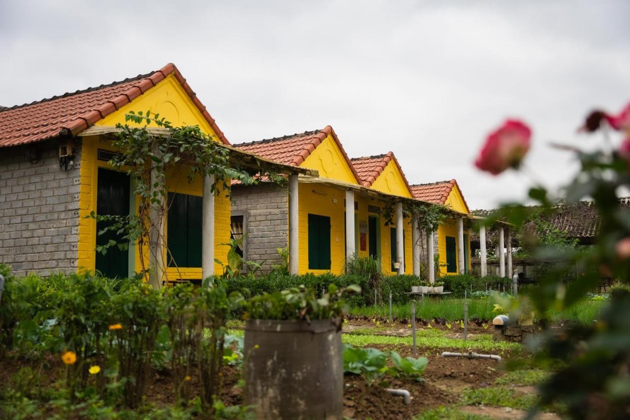 Greenfield Ecostay Phong Nha Exteriér fotografie