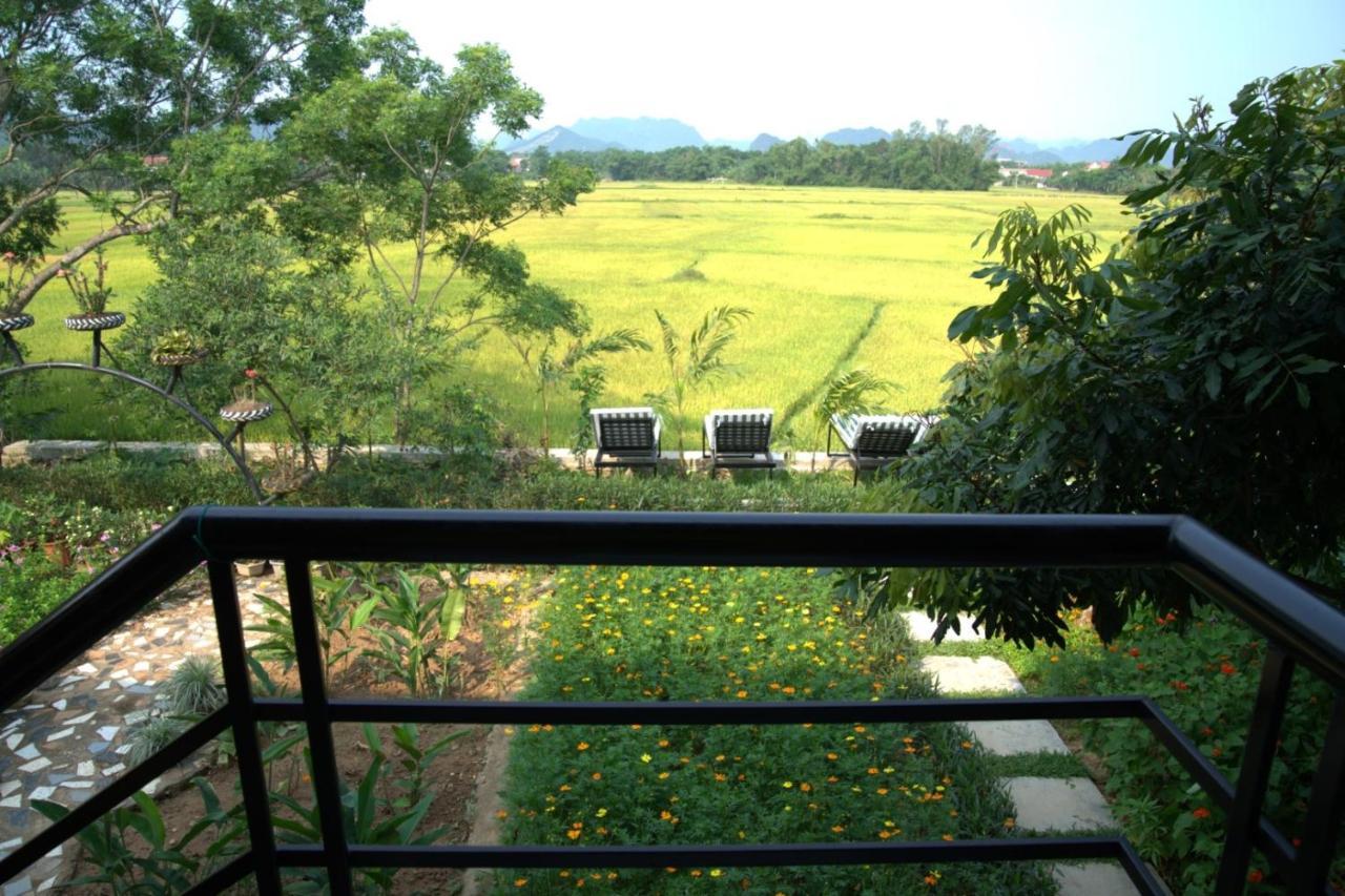 Greenfield Ecostay Phong Nha Exteriér fotografie